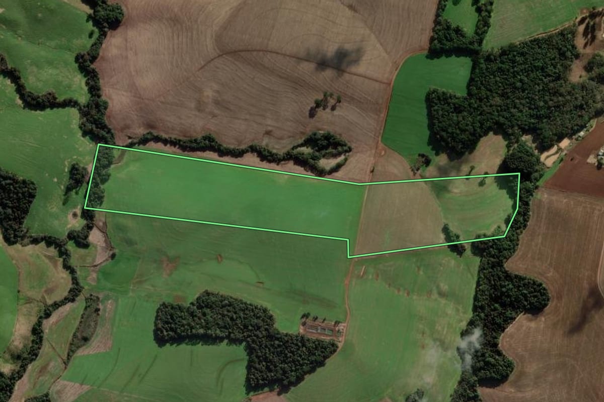 Imagem de satélite do imóvel rural em Coxilha (RS), com o contorno declarado no CAR desenhado por cima.