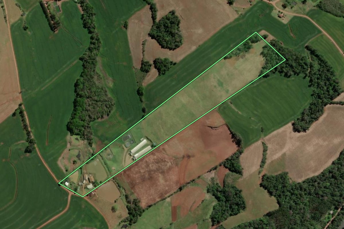 Imagem de satélite do imóvel rural em Crissiumal (RS), com o contorno declarado no CAR desenhado por cima.