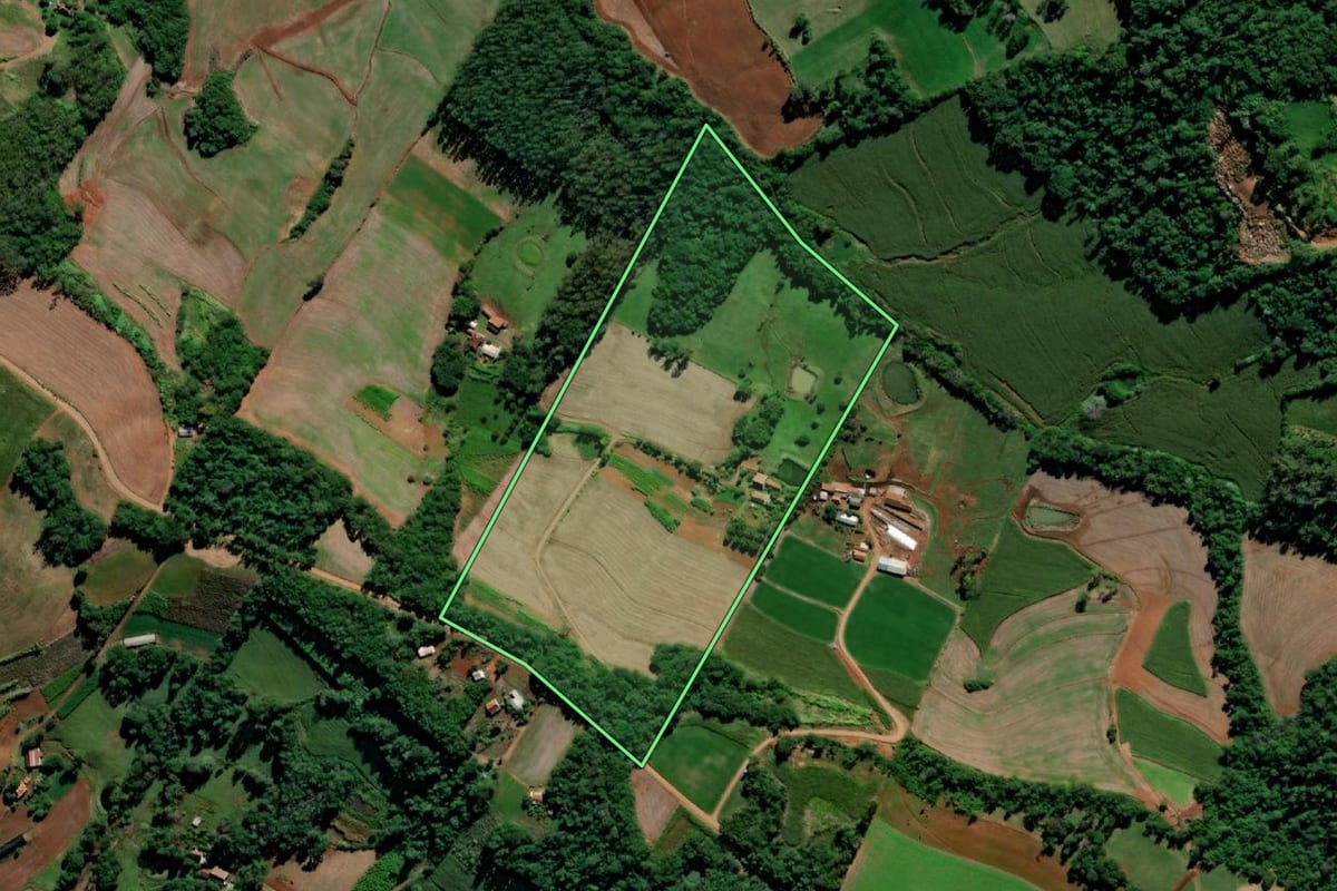 Imagem de satélite do imóvel rural em Crissiumal (RS), com o contorno declarado no CAR desenhado por cima.