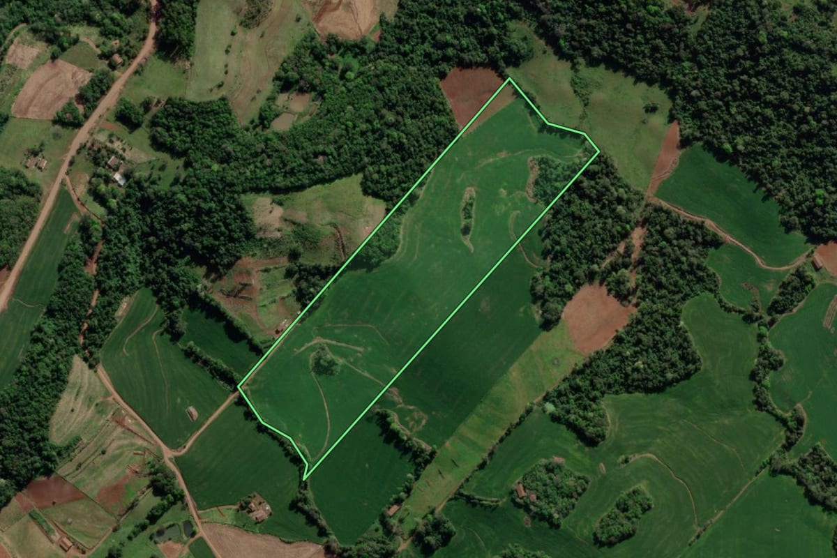 Imagem de satélite do imóvel rural em Crissiumal (RS), com o contorno declarado no CAR desenhado por cima.