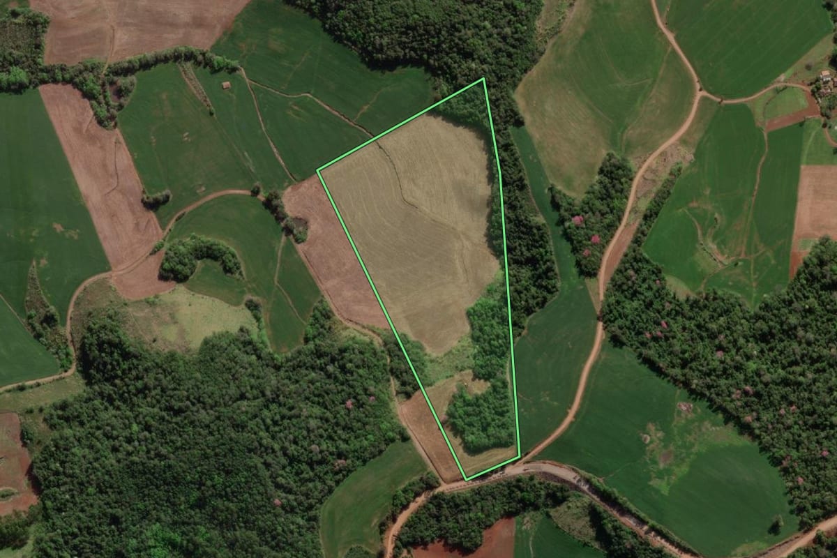Imagem de satélite do imóvel rural em Crissiumal (RS), com o contorno declarado no CAR desenhado por cima.