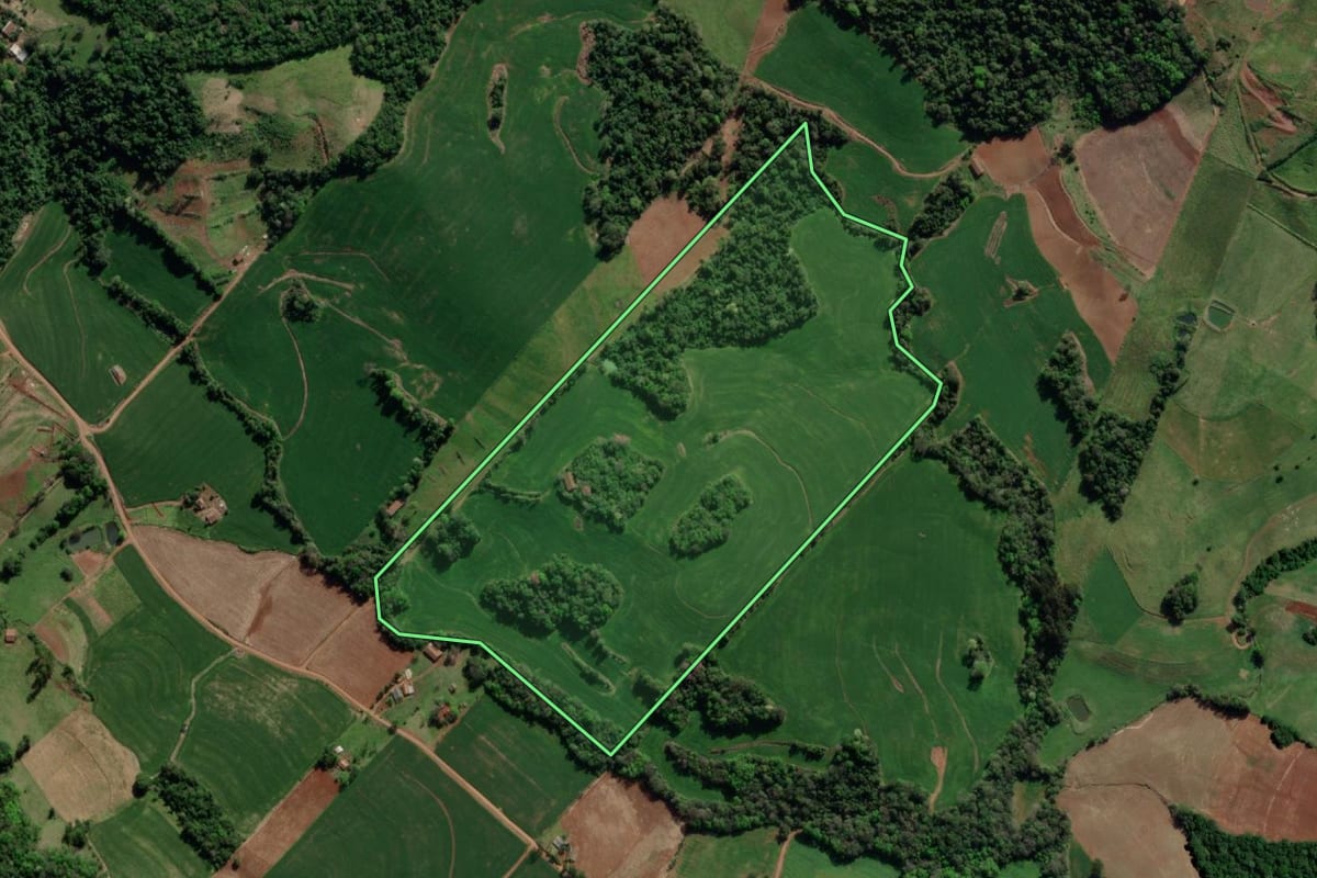 Imagem de satélite do imóvel rural em Crissiumal (RS), com o contorno declarado no CAR desenhado por cima.
