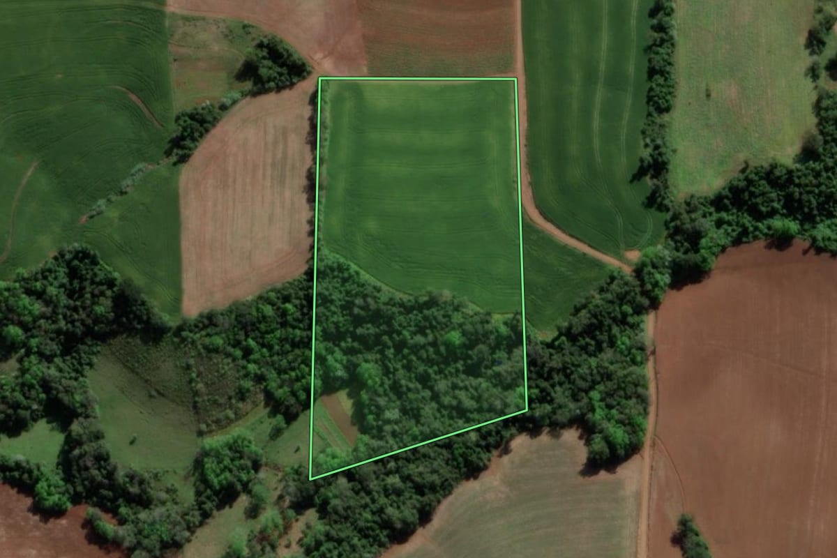Imagem de satélite do imóvel rural em Crissiumal (RS), com o contorno declarado no CAR desenhado por cima.
