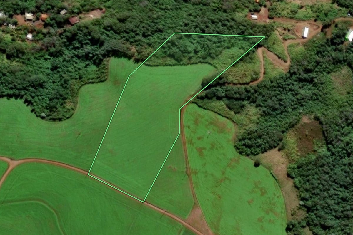 Imagem de satélite do imóvel rural em Crissiumal (RS), com o contorno declarado no CAR desenhado por cima.