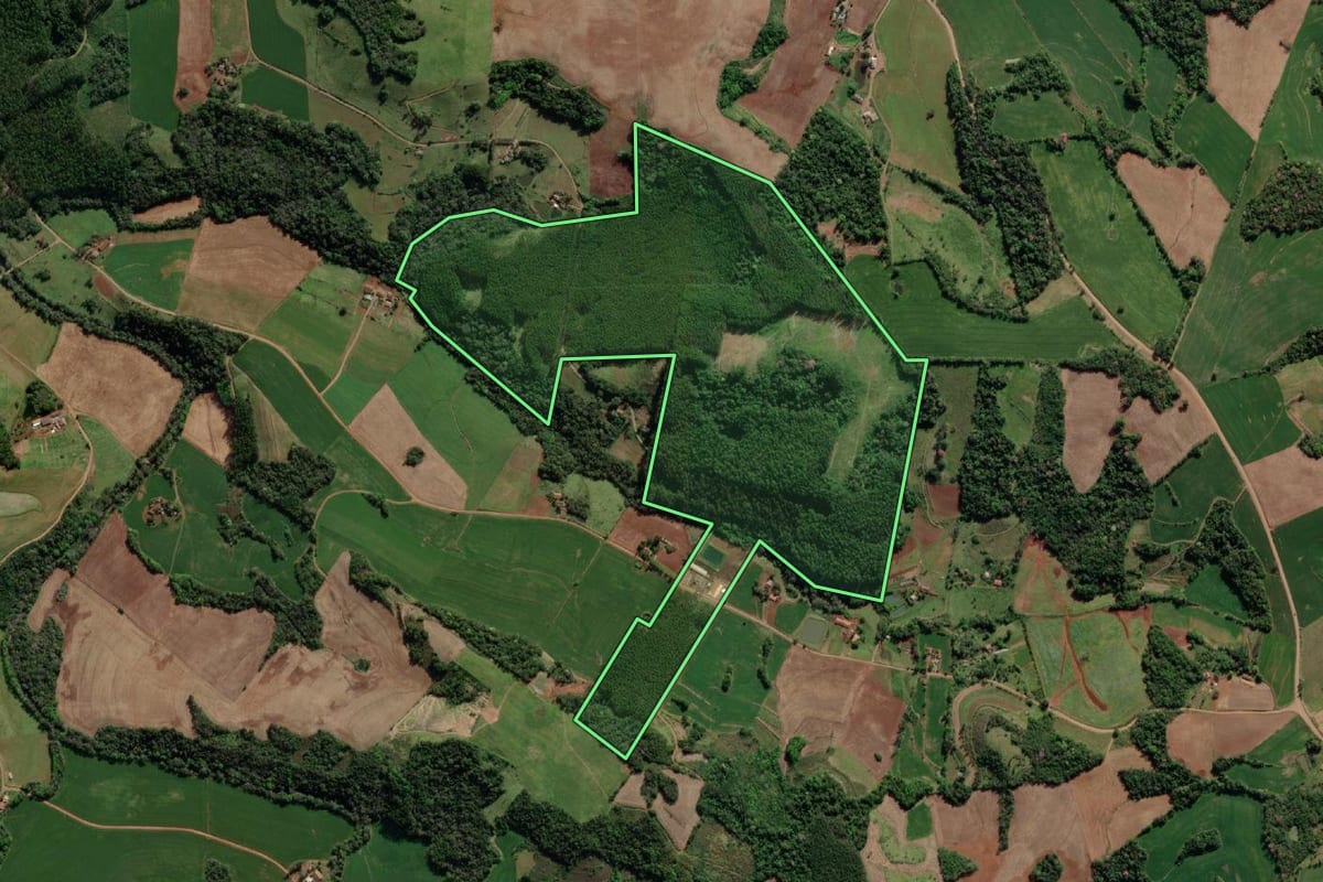 Imagem de satélite do imóvel rural em Crissiumal (RS), com o contorno declarado no CAR desenhado por cima.