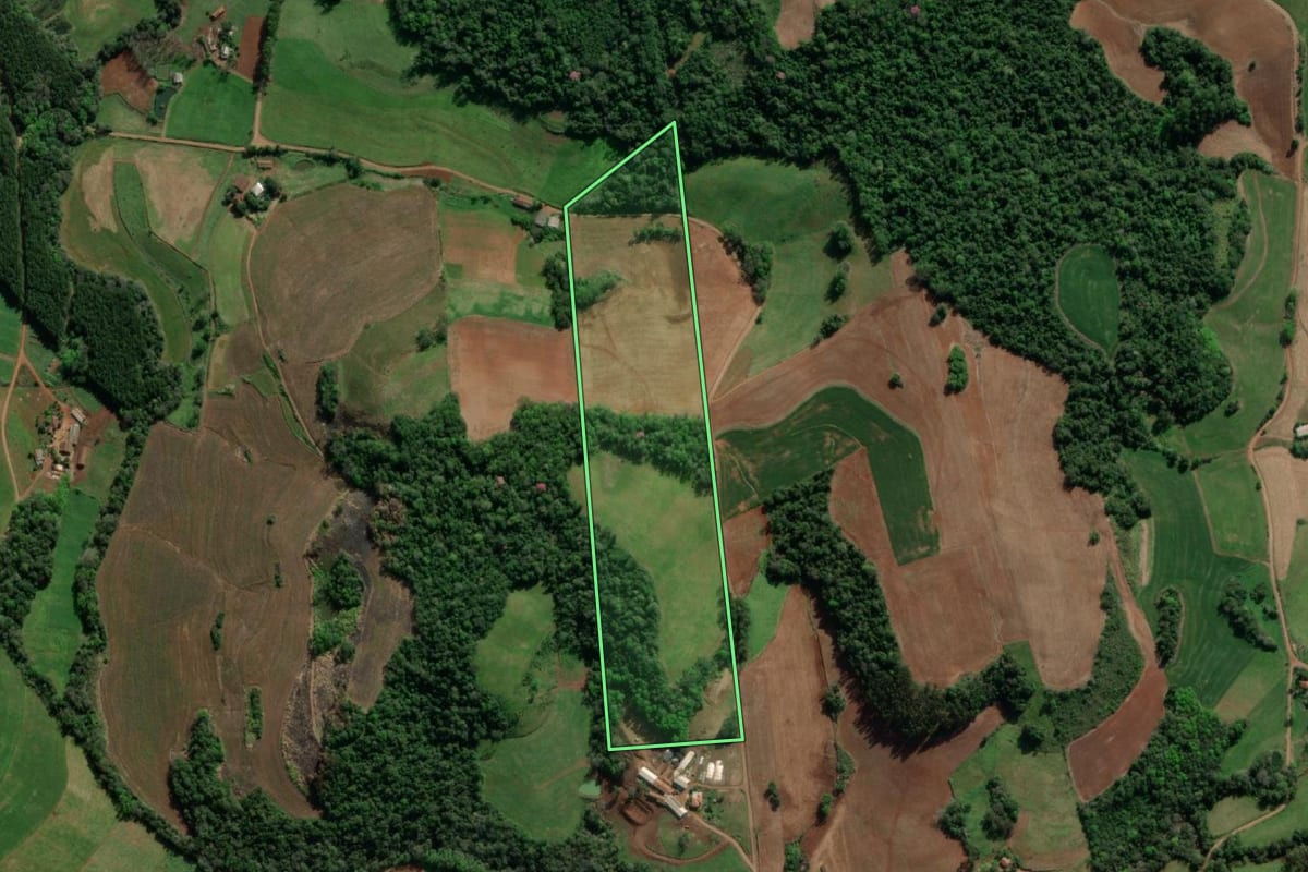 Imagem de satélite do imóvel rural em Crissiumal (RS), com o contorno declarado no CAR desenhado por cima.