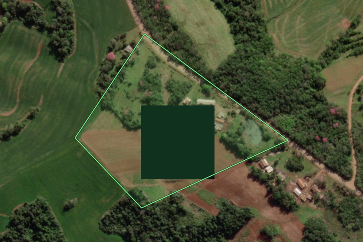 Imagem de satélite do imóvel rural em Crissiumal (RS), com o contorno declarado no CAR desenhado por cima.