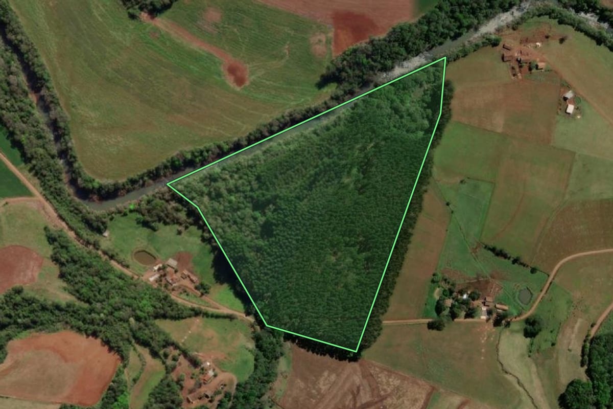 Imagem de satélite do imóvel rural em Crissiumal (RS), com o contorno declarado no CAR desenhado por cima.