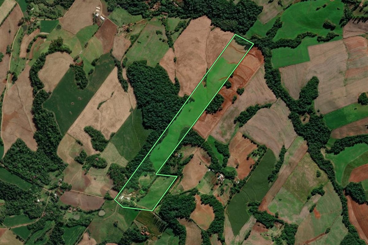 Imagem de satélite do imóvel rural em Crissiumal (RS), com o contorno declarado no CAR desenhado por cima.