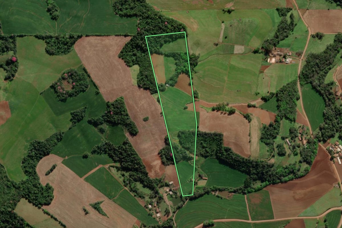 Imagem de satélite do imóvel rural em Crissiumal (RS), com o contorno declarado no CAR desenhado por cima.