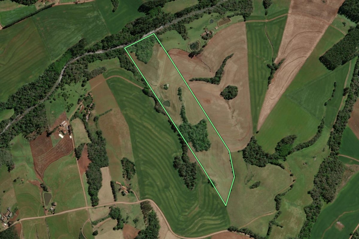 Imagem de satélite do imóvel rural em Crissiumal (RS), com o contorno declarado no CAR desenhado por cima.