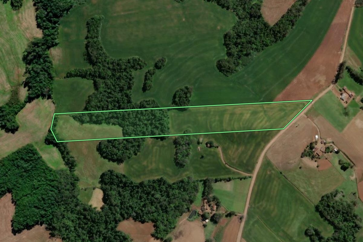 Imagem de satélite do imóvel rural em Crissiumal (RS), com o contorno declarado no CAR desenhado por cima.