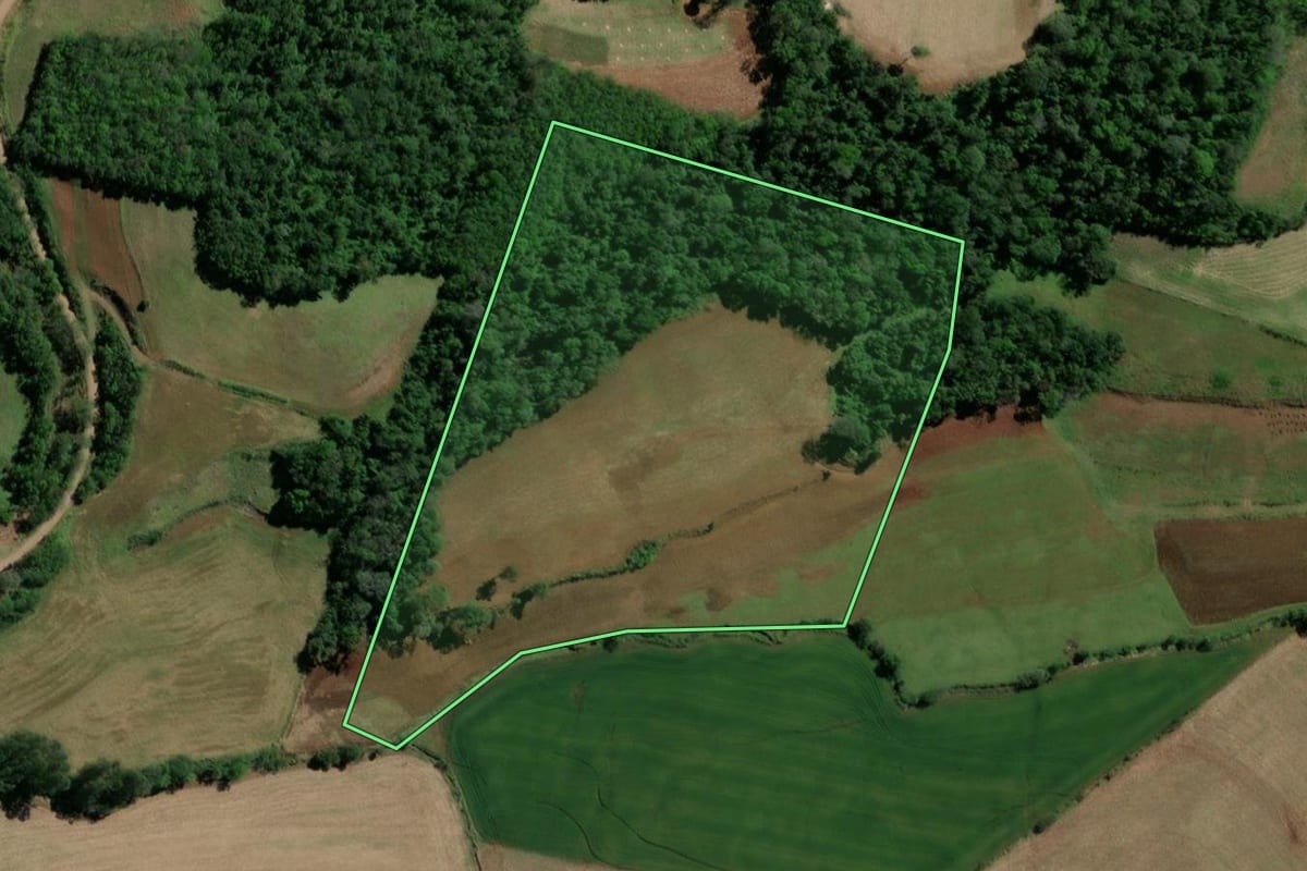 Imagem de satélite do imóvel rural em Crissiumal (RS), com o contorno declarado no CAR desenhado por cima.