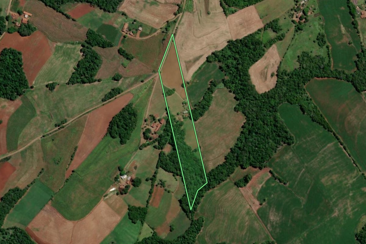 Imagem de satélite do imóvel rural em Crissiumal (RS), com o contorno declarado no CAR desenhado por cima.