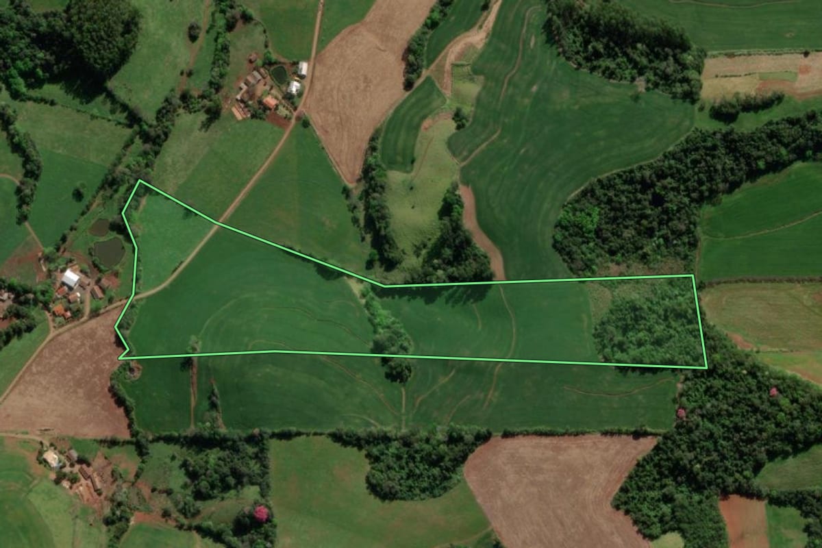 Imagem de satélite do imóvel rural em Crissiumal (RS), com o contorno declarado no CAR desenhado por cima.