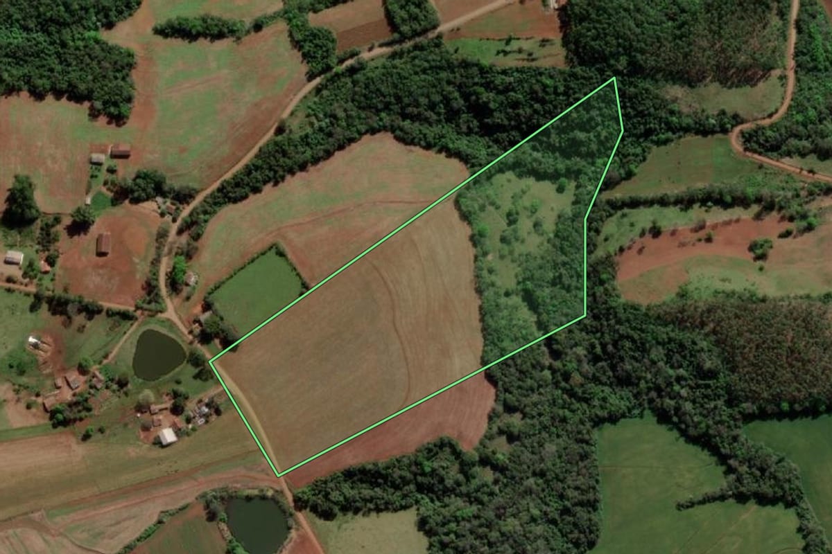 Imagem de satélite do imóvel rural em Crissiumal (RS), com o contorno declarado no CAR desenhado por cima.
