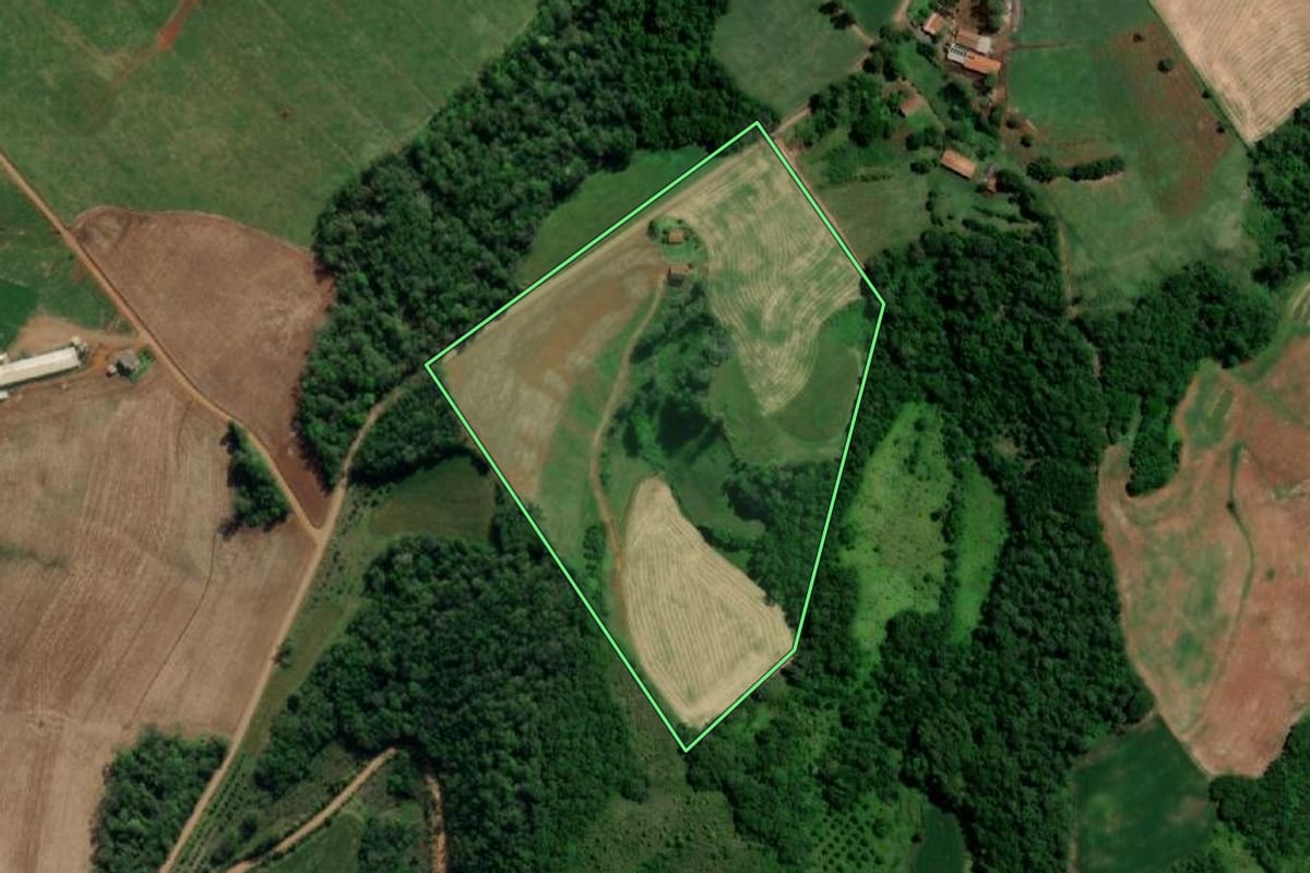 Imagem de satélite do imóvel rural em Crissiumal (RS), com o contorno declarado no CAR desenhado por cima.