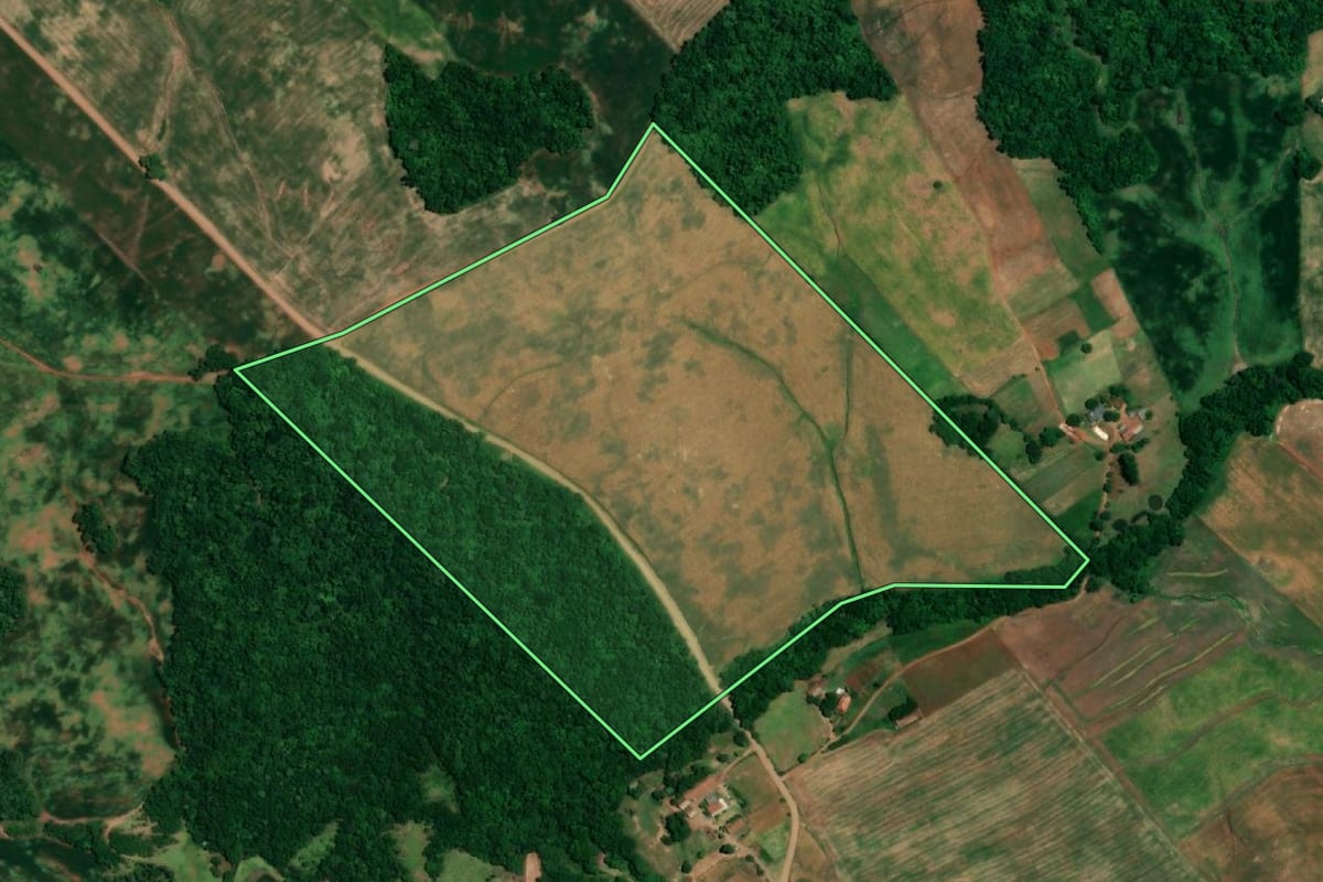 Imagem de satélite do imóvel rural em Crissiumal (RS), com o contorno declarado no CAR desenhado por cima.