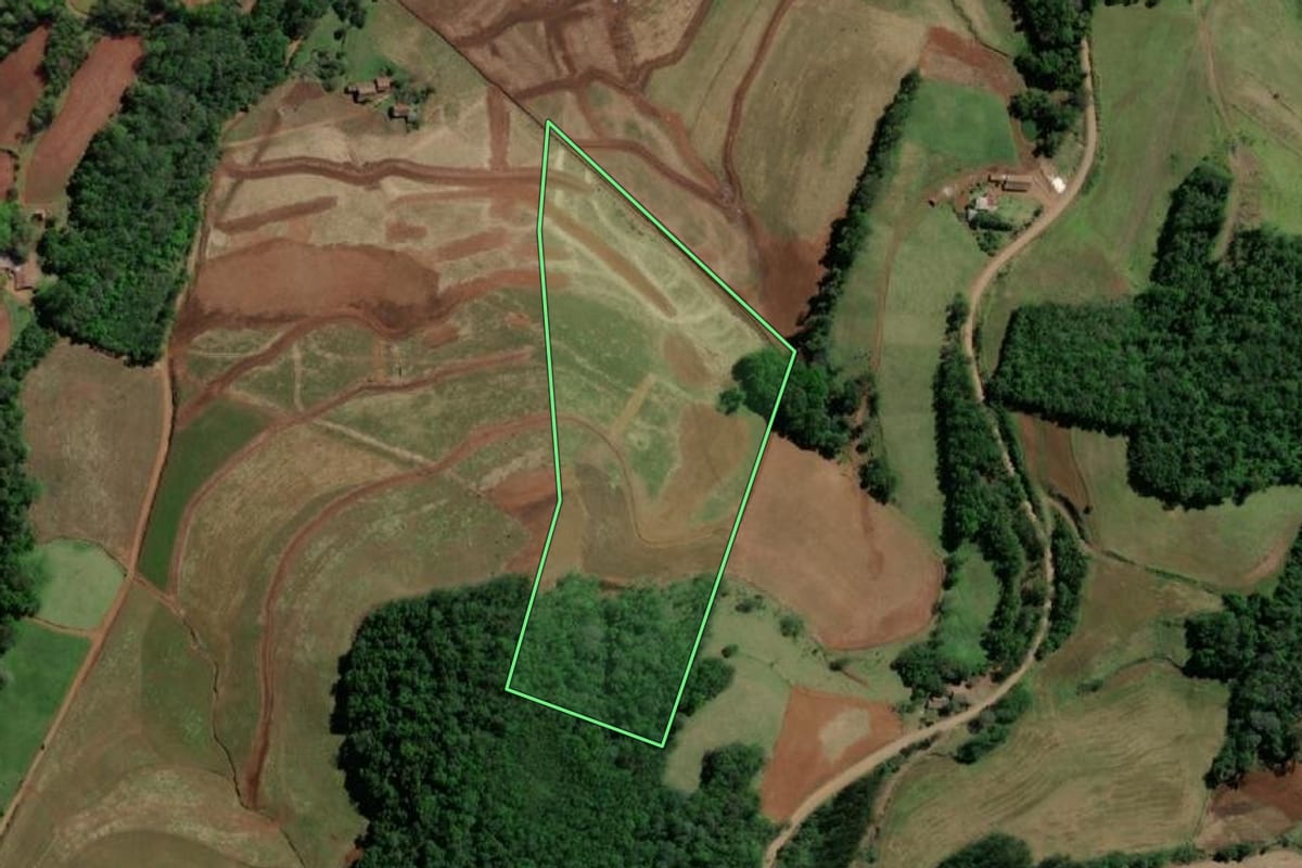 Imagem de satélite do imóvel rural em Crissiumal (RS), com o contorno declarado no CAR desenhado por cima.