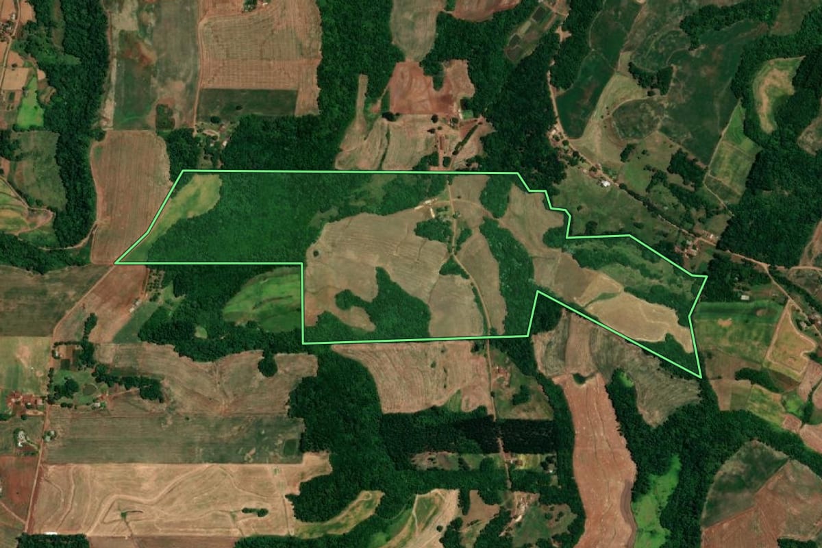 Imagem de satélite do imóvel rural em Crissiumal (RS), com o contorno declarado no CAR desenhado por cima.