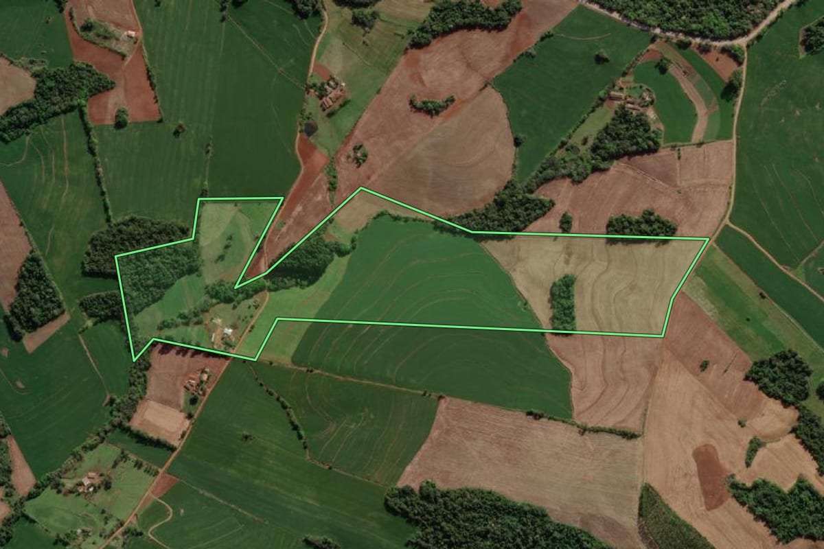 Imagem de satélite do imóvel rural em Crissiumal (RS), com o contorno declarado no CAR desenhado por cima.
