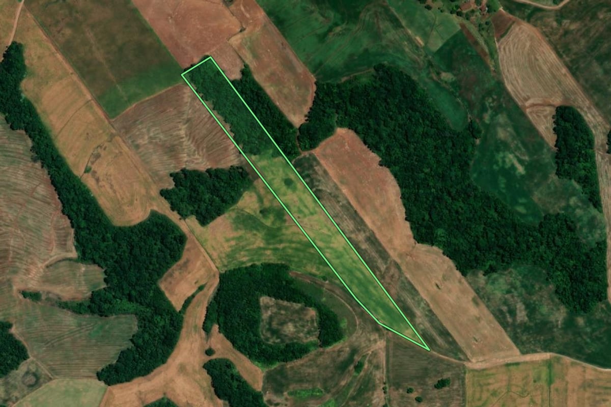 Imagem de satélite do imóvel rural em Crissiumal (RS), com o contorno declarado no CAR desenhado por cima.