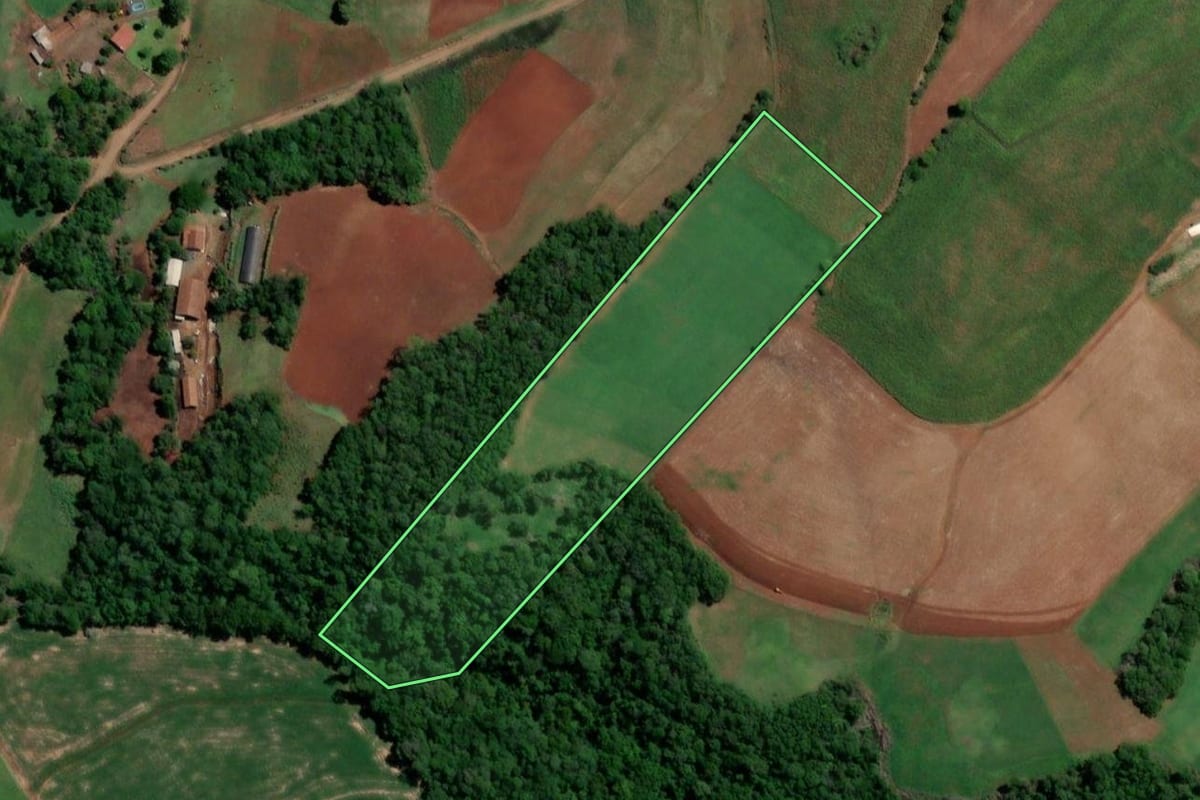 Imagem de satélite do imóvel rural em Crissiumal (RS), com o contorno declarado no CAR desenhado por cima.
