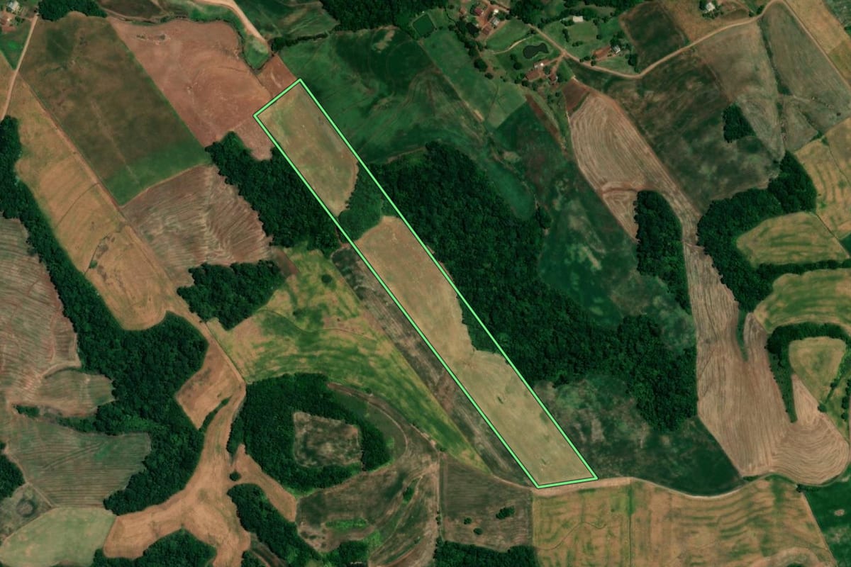 Imagem de satélite do imóvel rural em Crissiumal (RS), com o contorno declarado no CAR desenhado por cima.