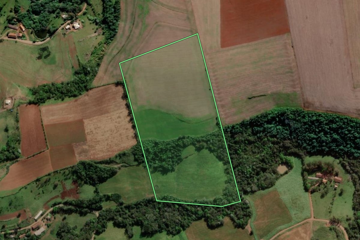 Imagem de satélite do imóvel rural em Crissiumal (RS), com o contorno declarado no CAR desenhado por cima.