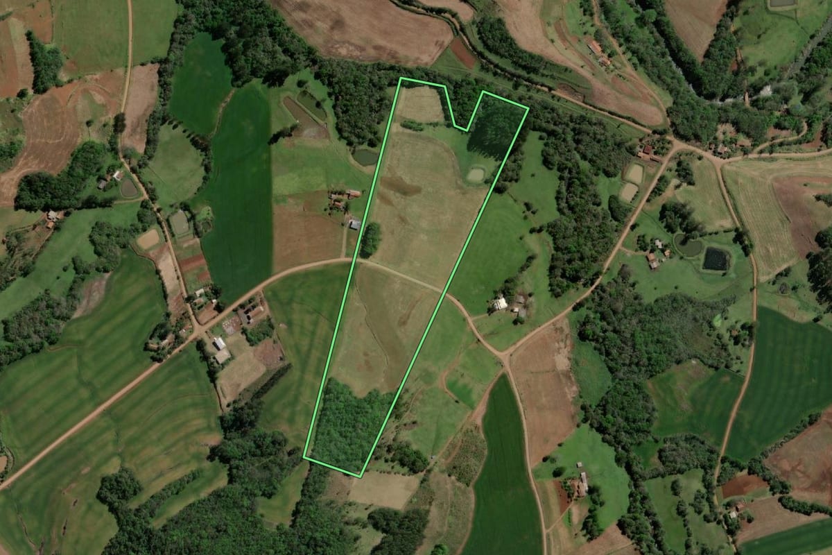 Imagem de satélite do imóvel rural em Crissiumal (RS), com o contorno declarado no CAR desenhado por cima.