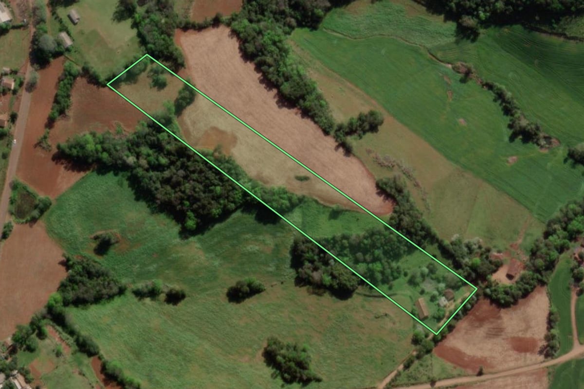 Imagem de satélite do imóvel rural em Crissiumal (RS), com o contorno declarado no CAR desenhado por cima.