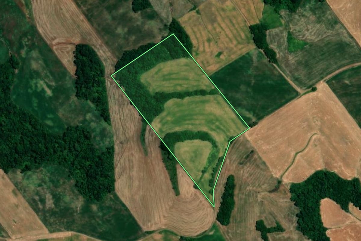 Imagem de satélite do imóvel rural em Crissiumal (RS), com o contorno declarado no CAR desenhado por cima.