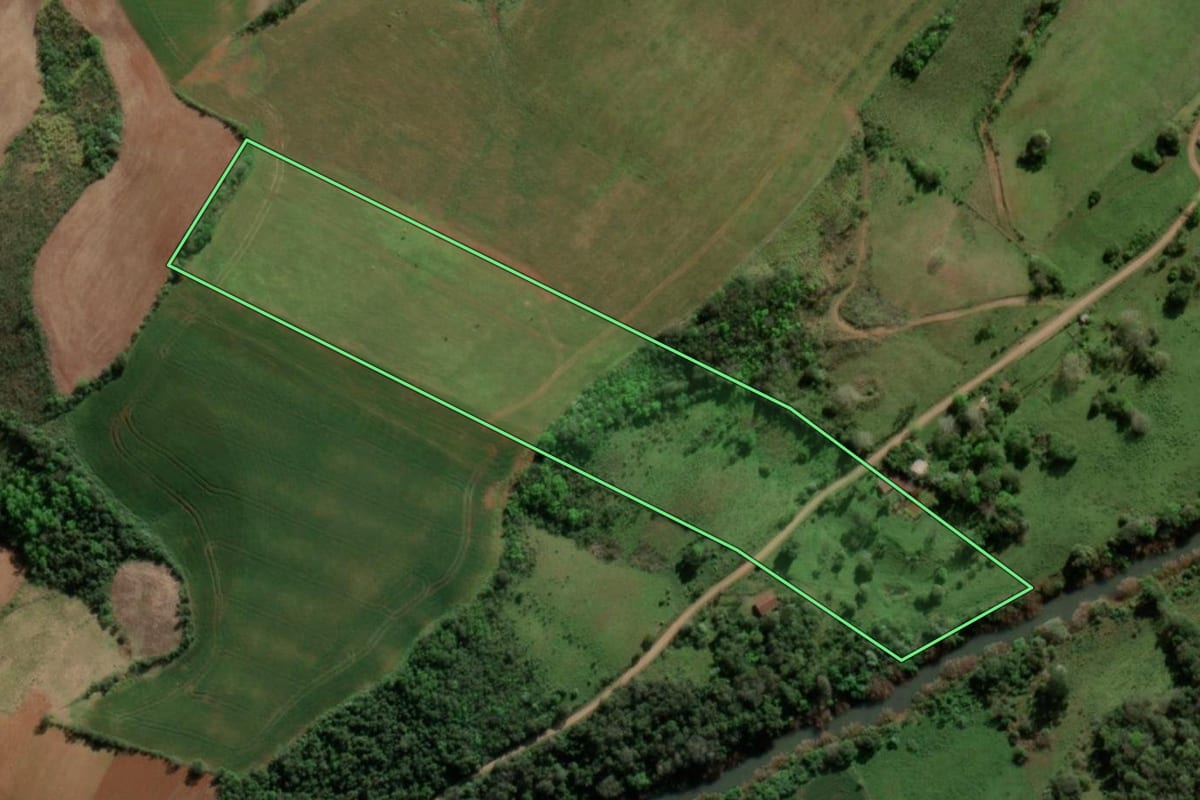 Imagem de satélite do imóvel rural em Crissiumal (RS), com o contorno declarado no CAR desenhado por cima.