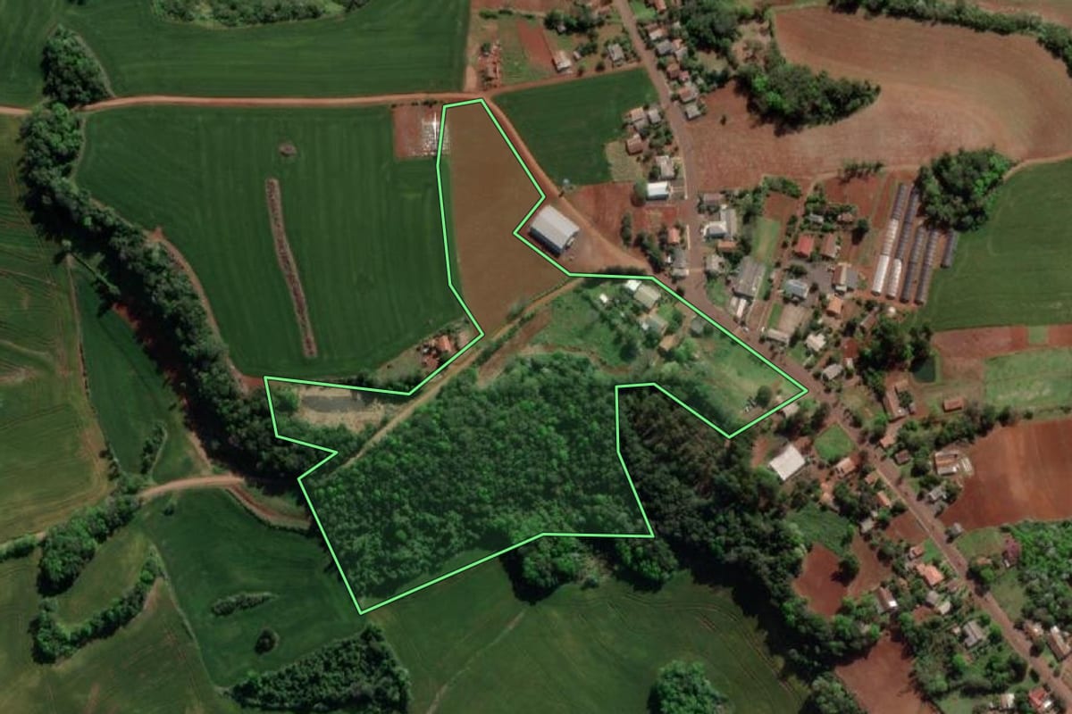 Imagem de satélite do imóvel rural em Crissiumal (RS), com o contorno declarado no CAR desenhado por cima.