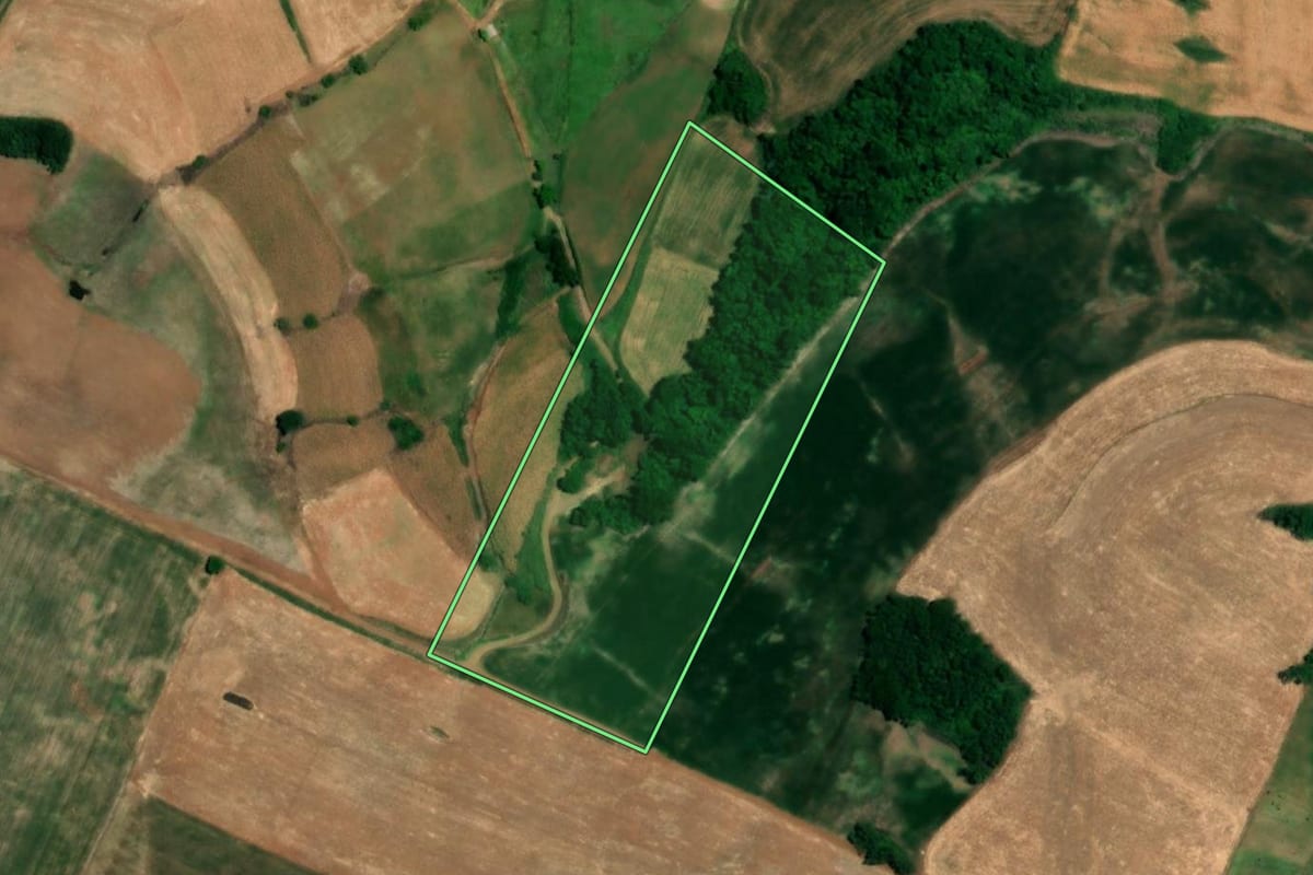 Imagem de satélite do imóvel rural em Crissiumal (RS), com o contorno declarado no CAR desenhado por cima.