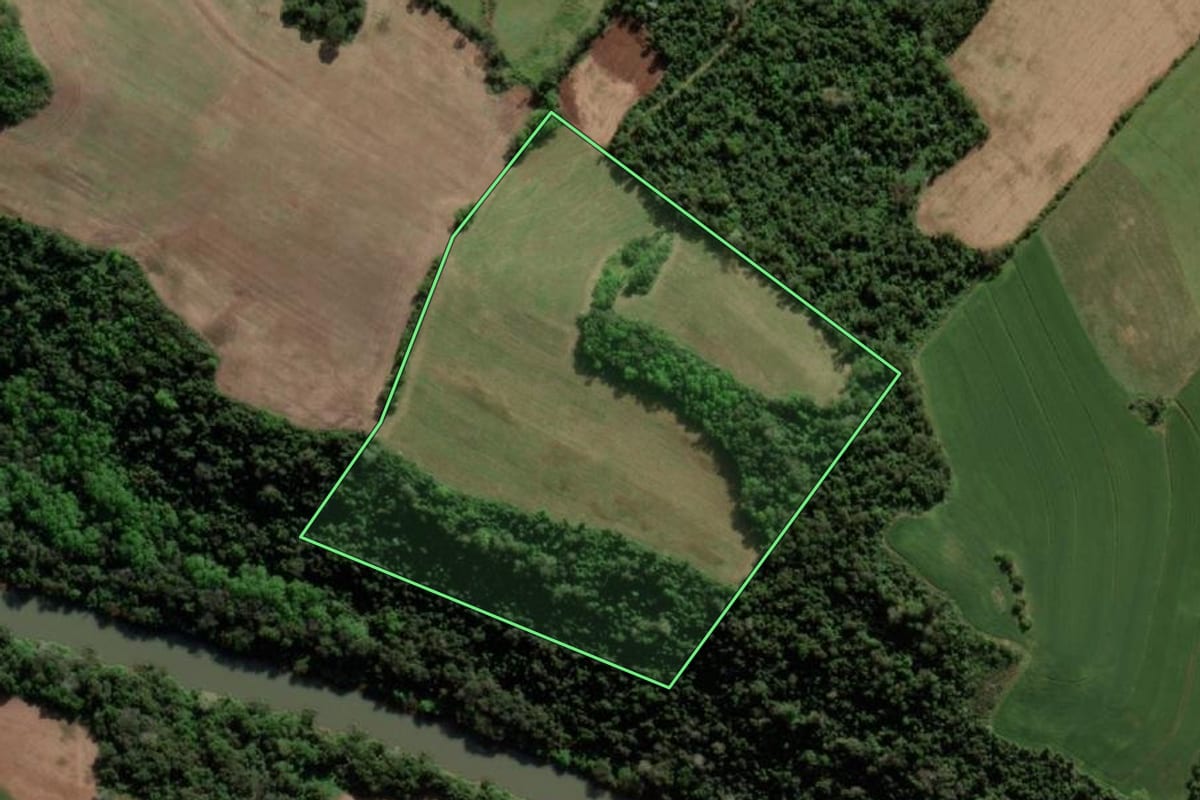 Imagem de satélite do imóvel rural em Crissiumal (RS), com o contorno declarado no CAR desenhado por cima.