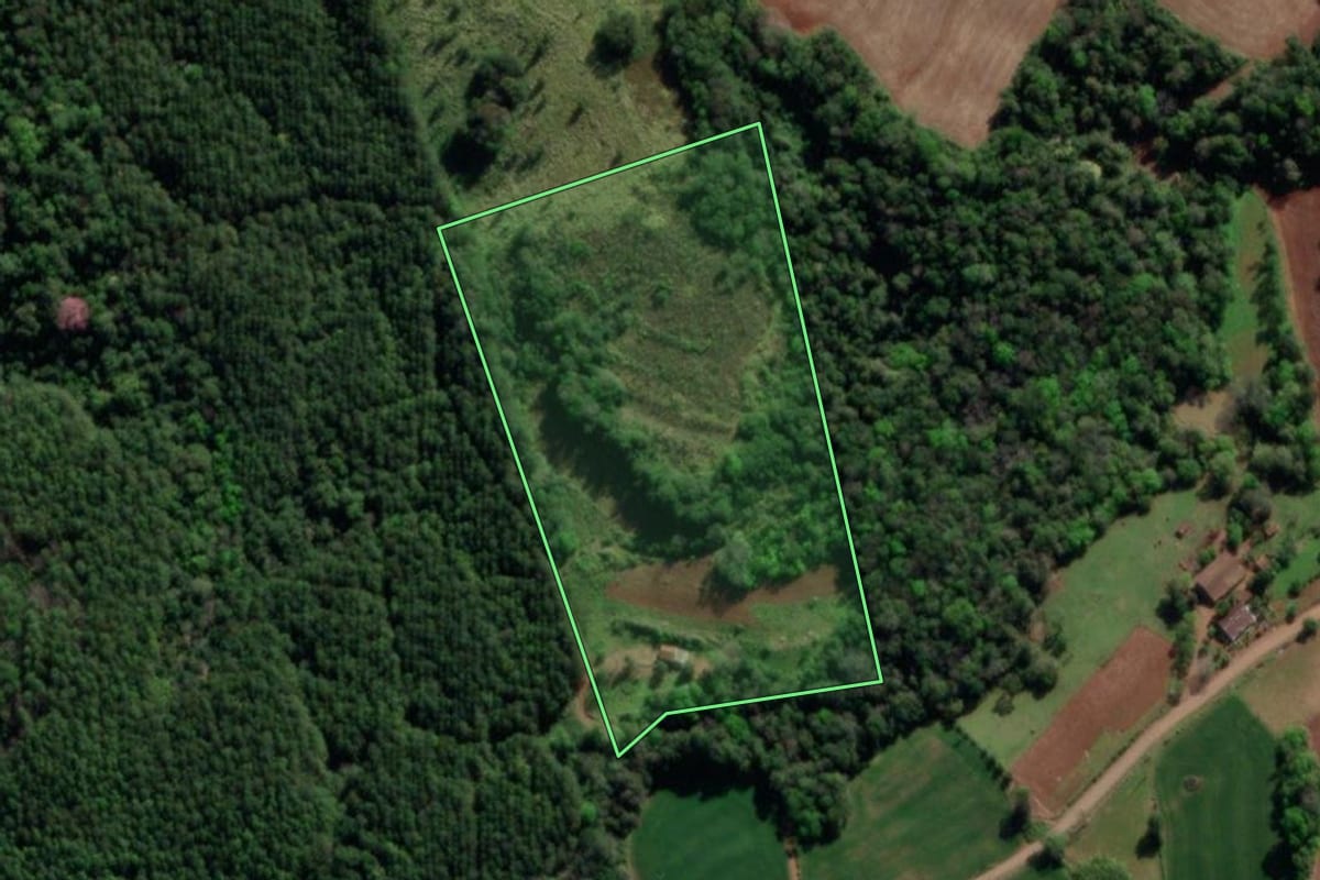 Imagem de satélite do imóvel rural em Crissiumal (RS), com o contorno declarado no CAR desenhado por cima.
