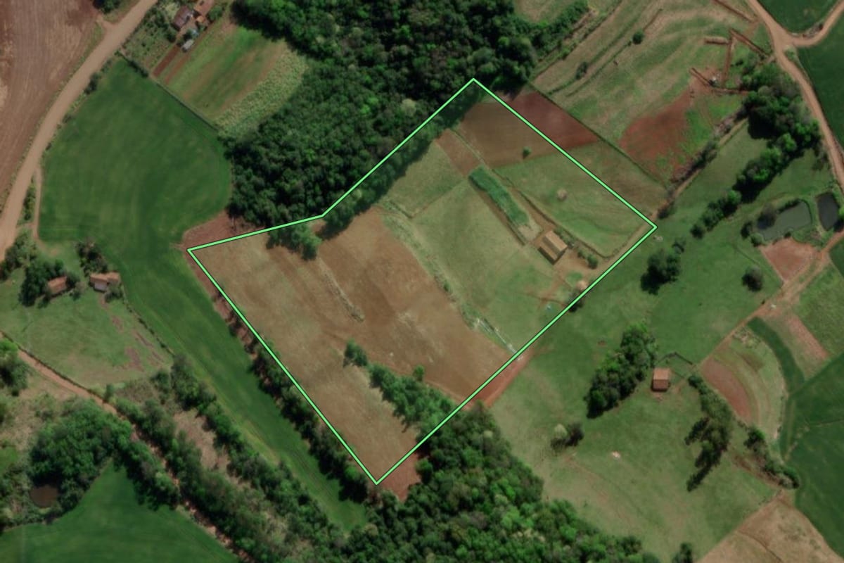 Imagem de satélite do imóvel rural em Crissiumal (RS), com o contorno declarado no CAR desenhado por cima.