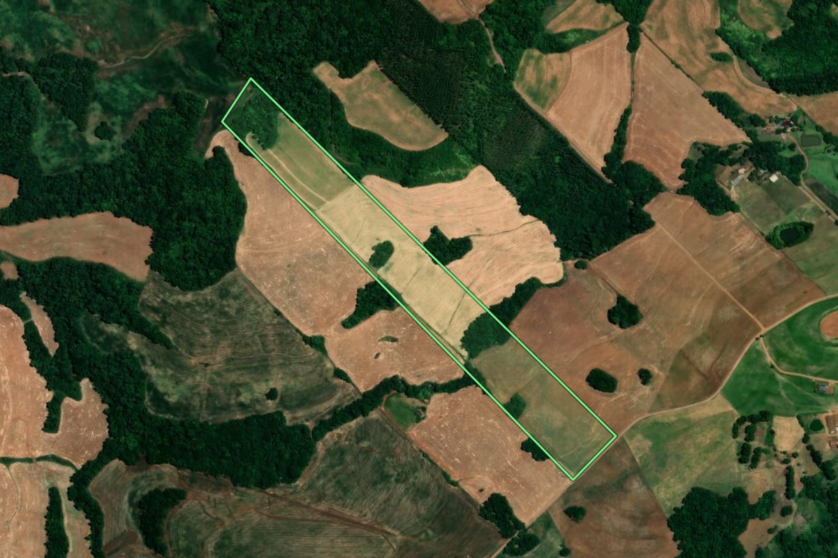 Imagem de satélite do imóvel rural em Crissiumal (RS), com o contorno declarado no CAR desenhado por cima.