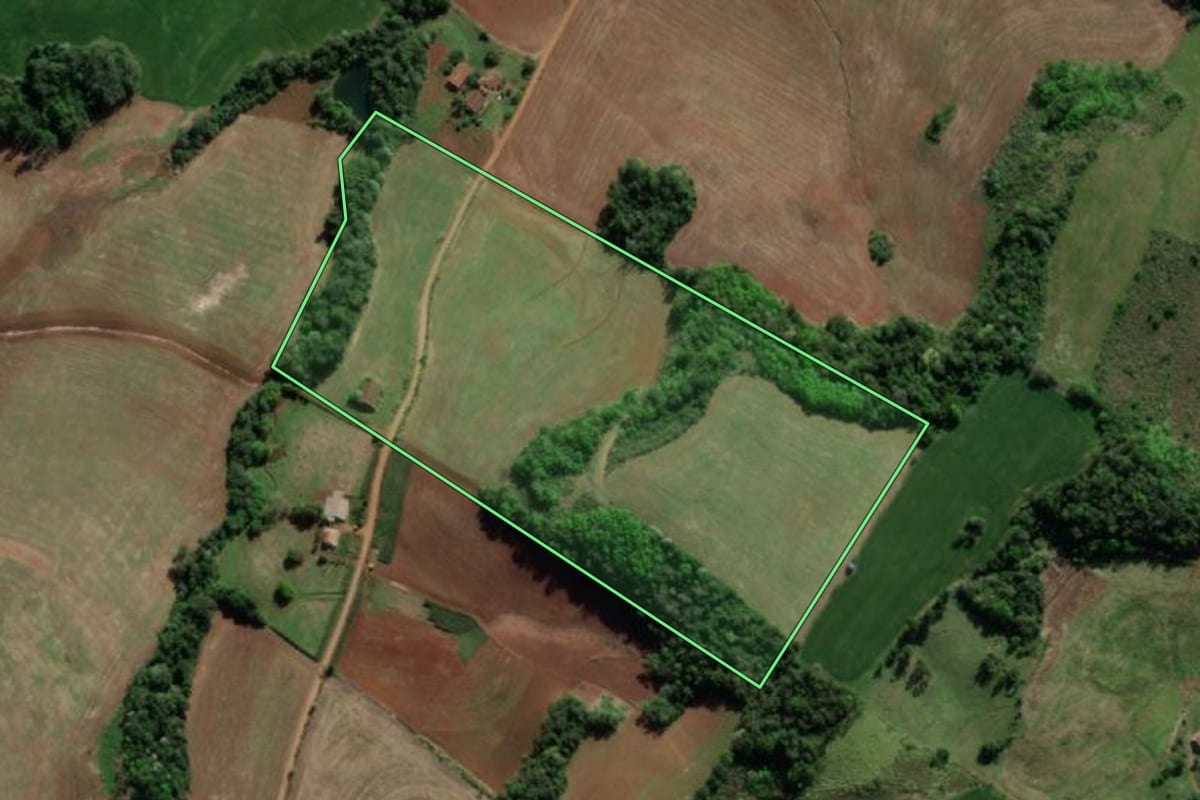Imagem de satélite do imóvel rural em Crissiumal (RS), com o contorno declarado no CAR desenhado por cima.