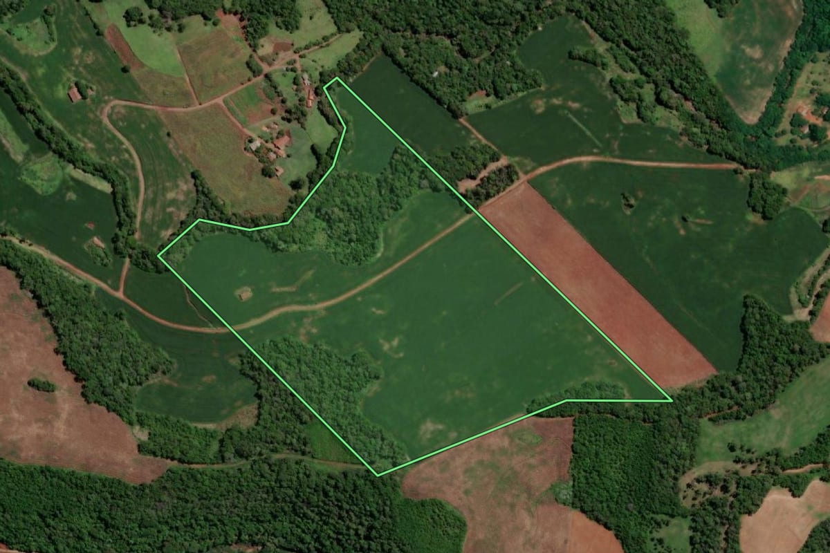 Imagem de satélite do imóvel rural em Crissiumal (RS), com o contorno declarado no CAR desenhado por cima.