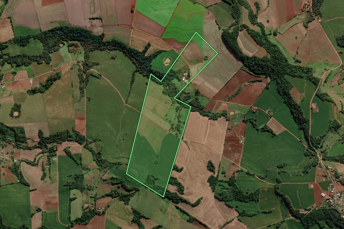 Imagem de satélite do imóvel rural em Crissiumal (RS), com o contorno declarado no CAR desenhado por cima.