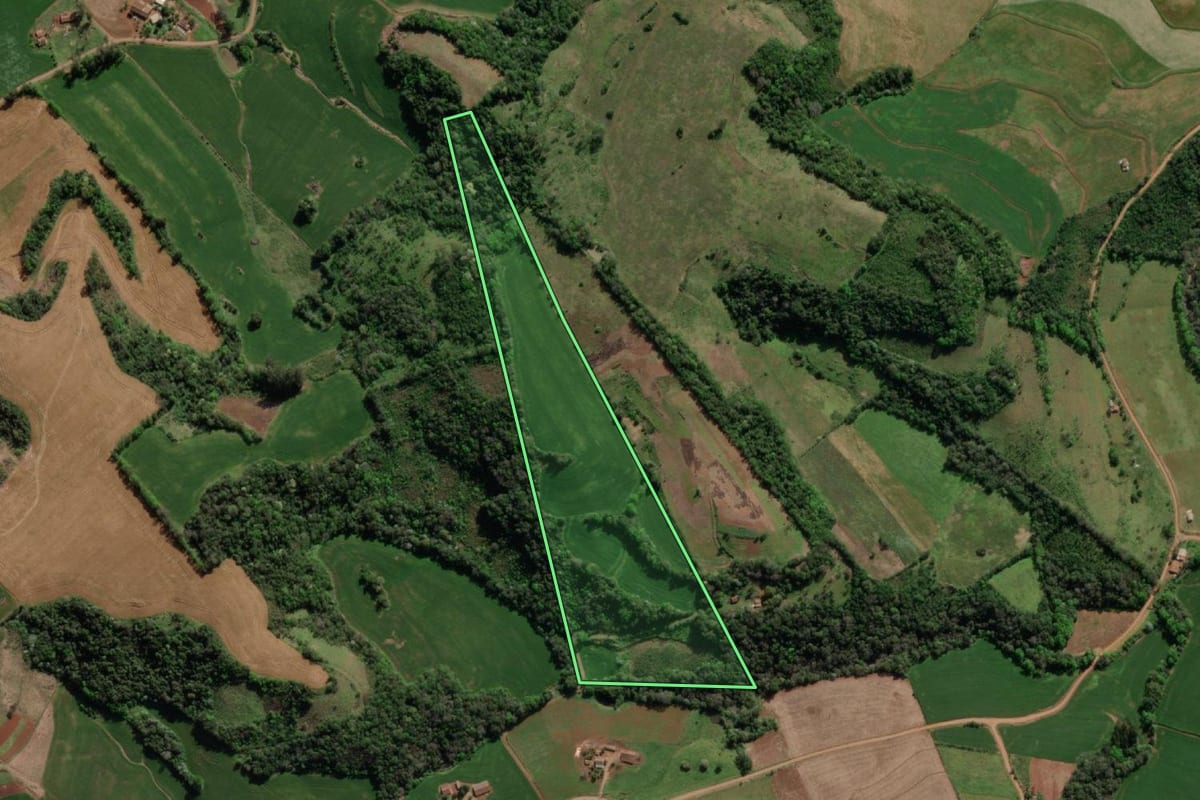 Imagem de satélite do imóvel rural em Crissiumal (RS), com o contorno declarado no CAR desenhado por cima.