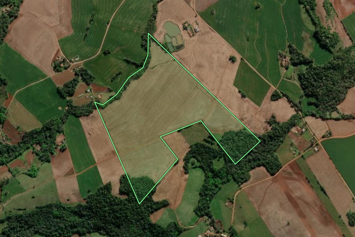 Imagem de satélite do imóvel rural em Crissiumal (RS), com o contorno declarado no CAR desenhado por cima.