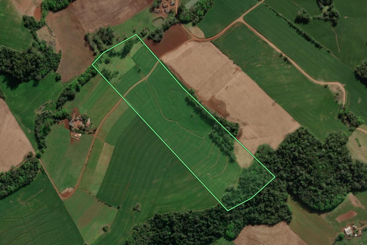 Imagem de satélite do imóvel rural em Crissiumal (RS), com o contorno declarado no CAR desenhado por cima.