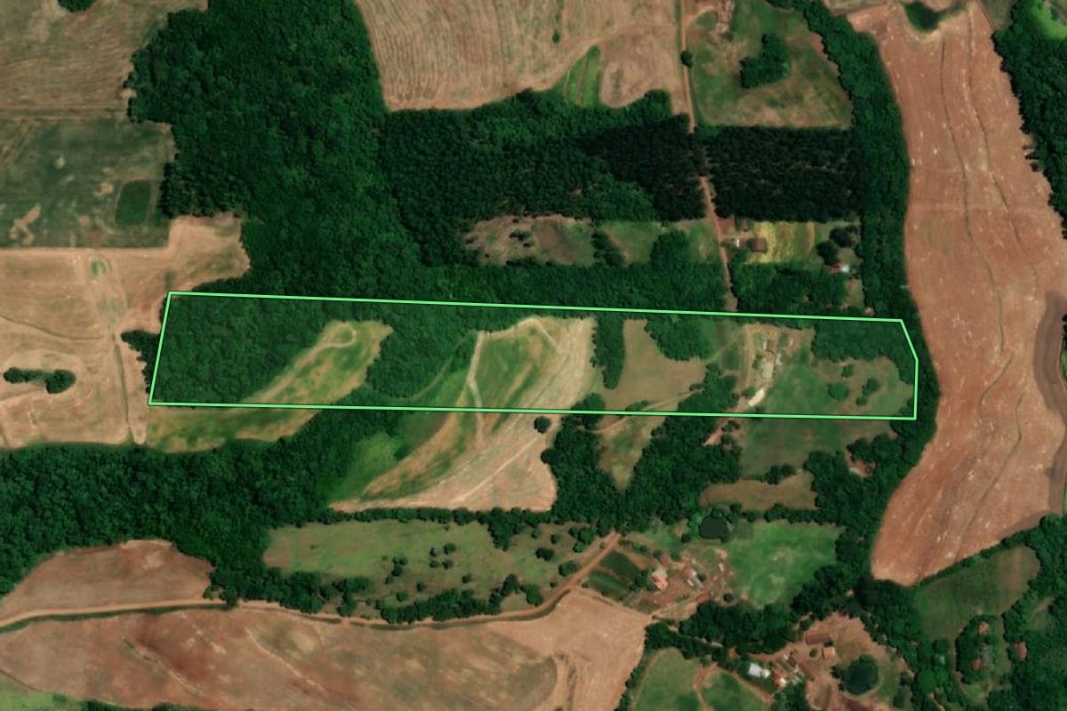 Imagem de satélite do imóvel rural em Crissiumal (RS), com o contorno declarado no CAR desenhado por cima.