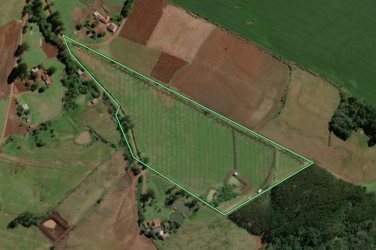 Imagem de satélite do imóvel rural em Crissiumal (RS), com o contorno declarado no CAR desenhado por cima.