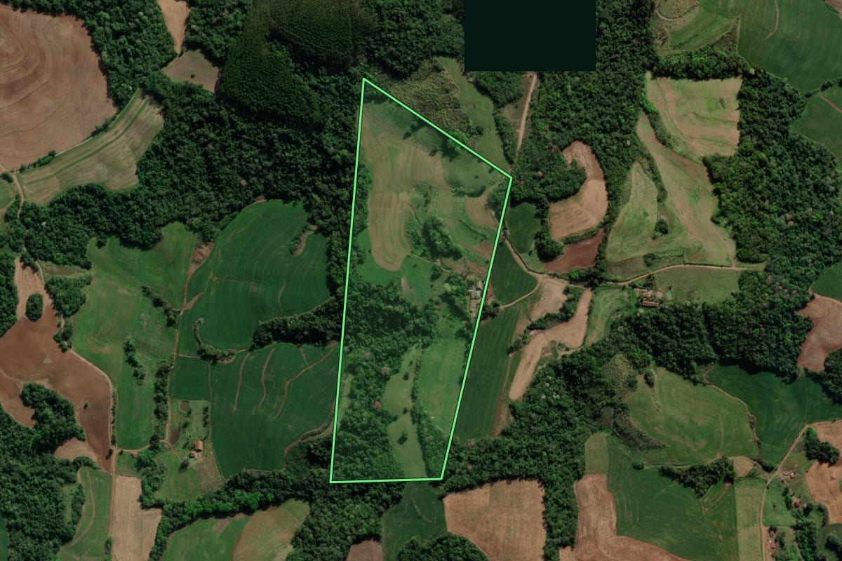 Imagem de satélite do imóvel rural em Crissiumal (RS), com o contorno declarado no CAR desenhado por cima.