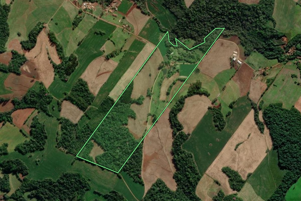Imagem de satélite do imóvel rural em Crissiumal (RS), com o contorno declarado no CAR desenhado por cima.