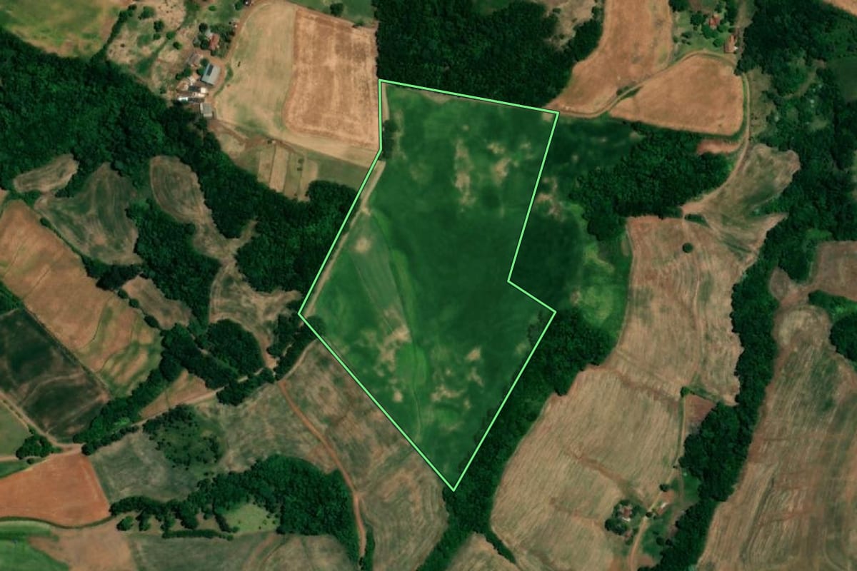 Imagem de satélite do imóvel rural em Crissiumal (RS), com o contorno declarado no CAR desenhado por cima.
